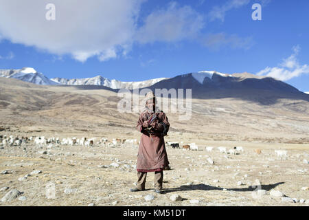 A man from Changpa nomads on his way to take his herd of goats to the mountains, Tso Moriri, Ladakh, Jammu and Kashmir, India. Stock Photo