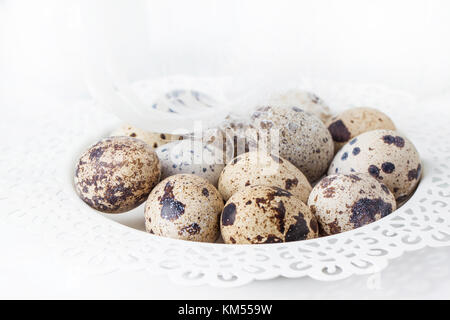 White plate of quail eggs over white Stock Photo