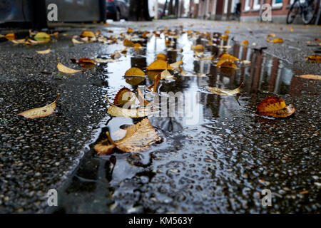 Puddles with leaves on the street due to rain at the end of autumn Stock Photo