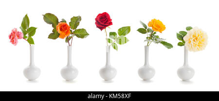 Five roses of different colors in small, vases isolated on white background Stock Photo