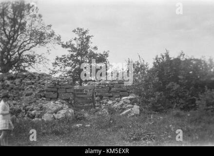 Buckland Rings Iron age structures in the archaeological site of the hillfort of Coaña ...