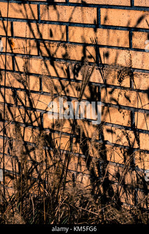 Shadows cast on a brick wall Stock Photo