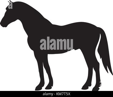 rearing up horse fine vector silhouette and outline - graceful black stallions Stock Vector