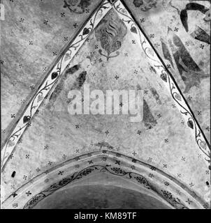 Fourth ventricle Black and White Stock Photos & Images - Alamy