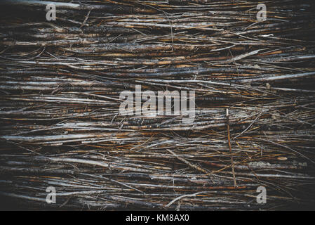 Fence wicker from many small branches, background with toning effect Stock Photo