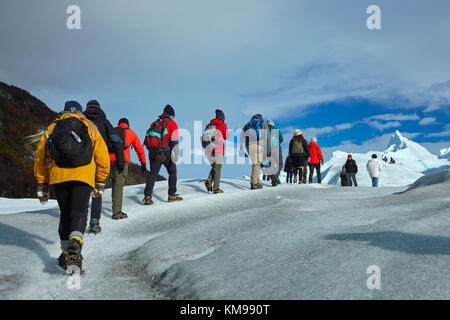 Hikers on Perito Moreno Glacier, Parque Nacional Los Glaciares (World Heritage Area), Patagonia, Argentina, South America Stock Photo