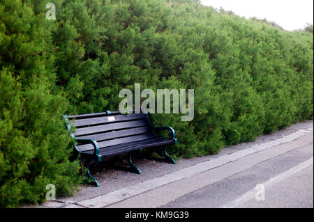 Park bench in overgrown hedge Stock Photo