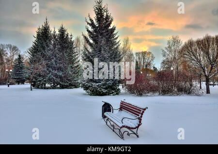 Colorful sunset in the winter park with snow covered firs, bushes, bench, lantern in the wonderful light of winter sun - picturesque winter landscape Stock Photo
