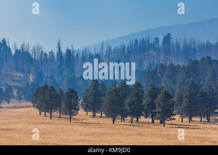 Smoky air from a prescribed burn in Valles Caldera National Preserve, a preserve run by the National Park Service, New Mexico, USA Stock Photo