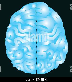 Blue brain with nerve vector and isolated background Stock Vector
