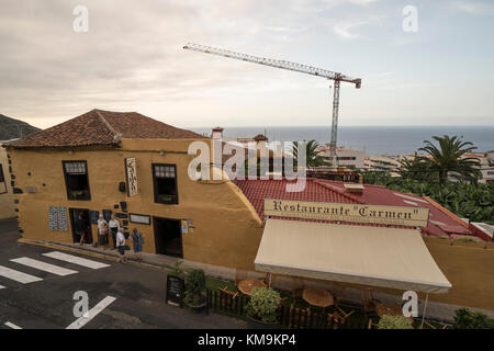 The Dragon Tree (El Drago), a national monument in Icod de los Vinos,  north of Tenerife Stock Photo