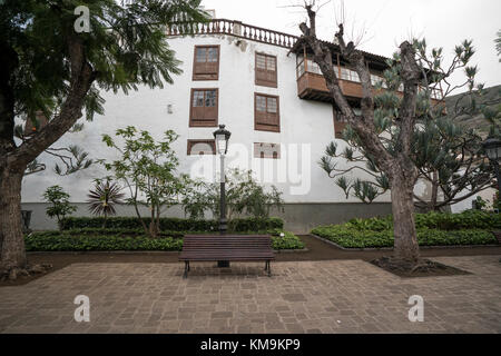 The Dragon Tree (El Drago), a national monument in Icod de los Vinos,  north of Tenerife Stock Photo