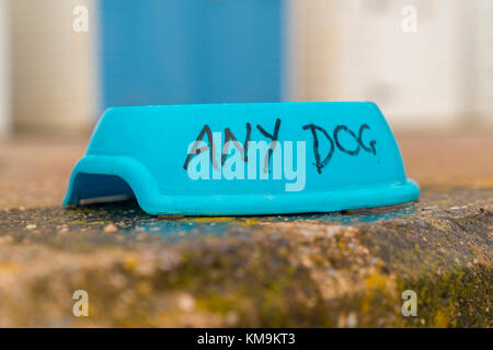 Dog bowl for any thirsty dog, with blurry beach huts in the background, seen on the promenade in Seaton, Devon, UK Stock Photo