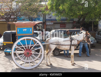 Horse drawn taxi, Mysore, India. Stock Photo