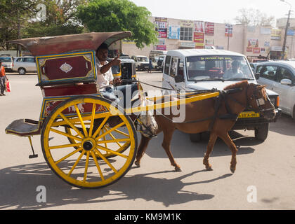 Horse drawn taxi, Mysore, India. Stock Photo