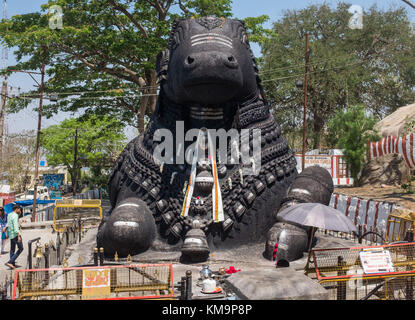 Nandi bull at Chamundi Hill in Mysore, Mysuru, Karnataka, India. Stock Photo