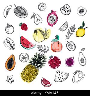 Hand drawn sketch set of fruits. Vector illustration isolated on white background. Stock Vector