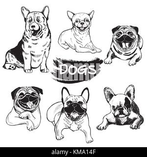 Set of hand drawn sketch style dogs - welsh corgi, chihuahua, pugs and french bulldogs. Vector illustration isolated on white background. Stock Vector