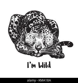 Hand drawn sketch style leopard. Vector illustration isolated on white background. Stock Vector