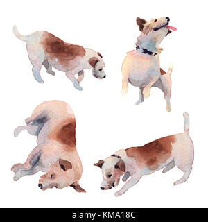 JackRussell terrier dog hand drawing watercolor Stock Photo