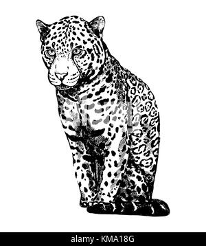 Watercolor Leopard Isolated On White Background. Hand Drawn