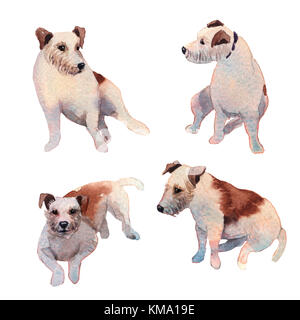 JackRussell terrier dog hand drawing watercolor Stock Photo