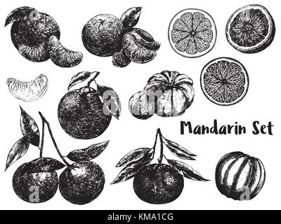 Hand drawn sketch set of mandarin orange fruits. Whole fruit with leaf and sliced. Vector illustration isolated on white background. Stock Vector
