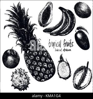 Hand drawn sketch set of tropical fruits. Vector illustration isolated on white background. Stock Vector