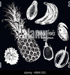 Hand drawn sketch set of tropical fruits. Vector illustration isolated on black background. Stock Vector