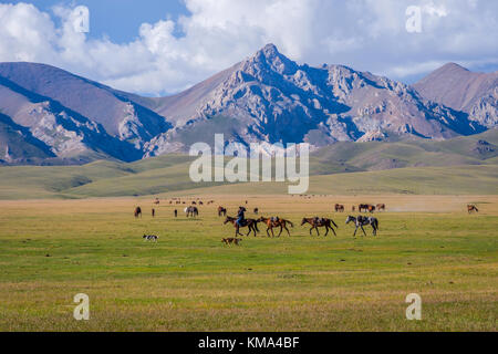 SONG KUL, KYRGYZSTAN - AUGUST 11: Man riding and guiding horses over scenic landscape of Song Kul lake. August 2016 Stock Photo