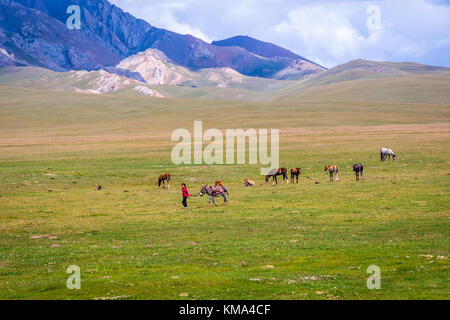 SONG KUL, KYRGYZSTAN - AUGUST 11: Kid guiding a donkey over green pasture next to Song Kul lake. August 2016 Stock Photo