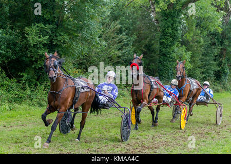 Horse and sulky trotting race nears the final bend at Ballabuidhe race course, Dunmanway, Co. Cork, Ireland with copy space. Stock Photo