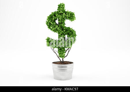 Potted plant with dollar shape. 3D Rendering Stock Photo