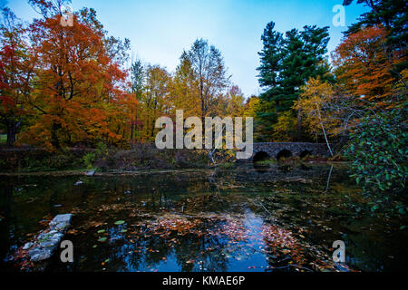 Canadian autumn reflection in Mont-Saint-Bruno National Park, qc, Canada Stock Photo