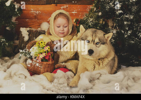 A little girl, hugging a dog of northern breed. An artificial interior of the winter forest Stock Photo