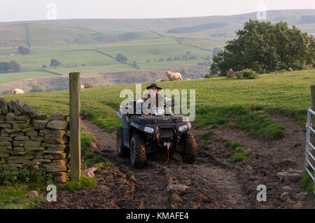 A young boy riding a quad on farm land coming through a farm gate on an evening in September in Weardale in County Durham while out on a hunting trip. Stock Photo