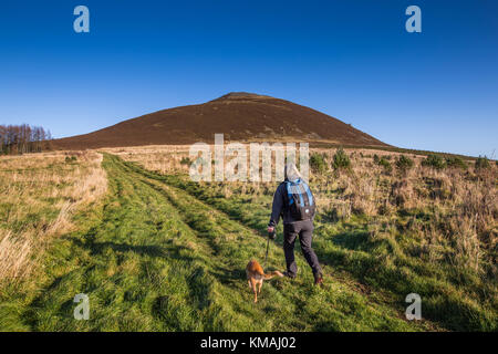 A walker approaches Hill O Noth near Rhynie, Aberdeenshire, Scotland, where the ruins of Tap O Noth hill fort are famed for it's vitrified stone walls Stock Photo