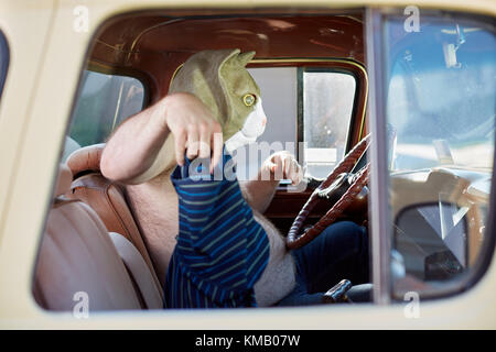 Hot overweight man in a cat mask sitting in a vehicle behind the steering wheel taking off his T-shirt and waving it in his hand Stock Photo