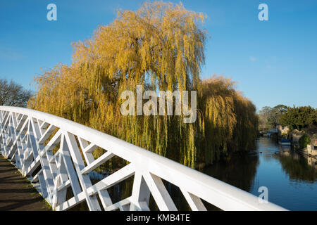 The Chinese bridge with weeping willow on the banks of the river Great Ouse at Godmanchester, Cambridgeshire, England, UK. Stock Photo