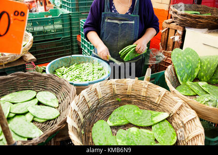 Nopales, Opuntia cacti, being prepared for sale in Mexico City's Mercado de la Merced. Nopales, Opuntia cacti, being prepared for sale in Mexico City's Mercado de la Merced.