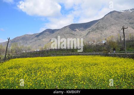 Kashmir The Paradise On Earth Stock Photo