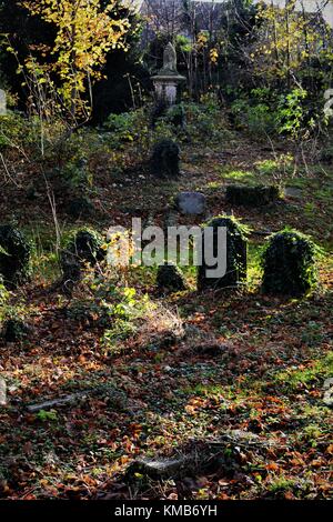 Old English cemetery with old gravestones and lots of undergrowth classic spooky style Stock Photo