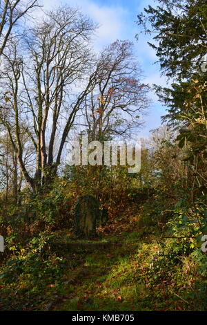 Old English cemetery with old gravestones and lots of undergrowth classic spooky style Stock Photo