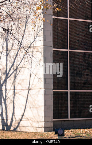 Campus building window.....shadows cast from the trees against the brick wall Stock Photo