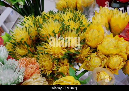 Artificial Yellow Green tip Flowering Plants on display looks fresh and real in focus Stock Photo