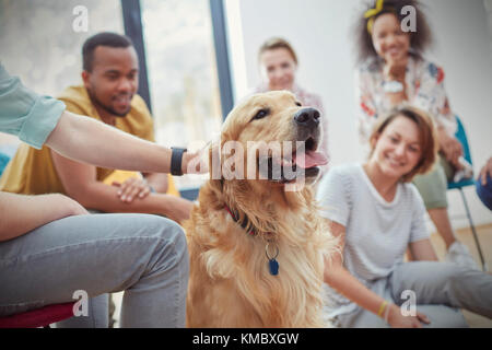 People petting dog in group therapy session Stock Photo