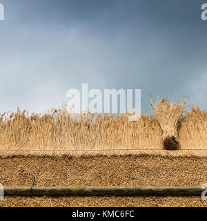 thatching a roof of a house with new straw.Thatched roof of a home Stock Photo