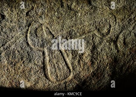 Carved axe-plough motif on inner chamber roof of Table des Marchands. Neolithic galleried grave. Locmariaquer, Brittany, France Stock Photo