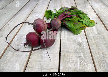 Fresh farm beetroot bunch on white wood country table Stock Photo