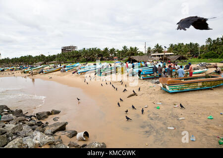 Fish market Negombo, small market next to Goldy Sands Hotel Stock Photo